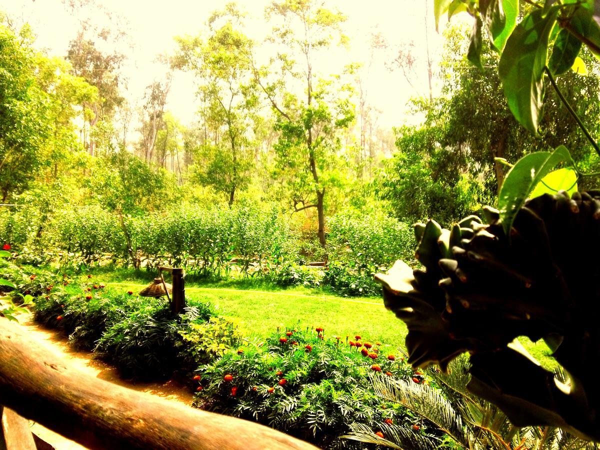 Roshnai Village Resort Bolpur Bagian luar foto